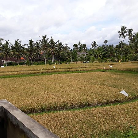 Umah Dangin Guest House Ubud  Exterior photo