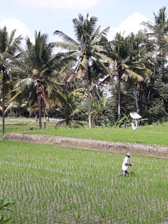 Umah Dangin Guest House Ubud  Exterior photo