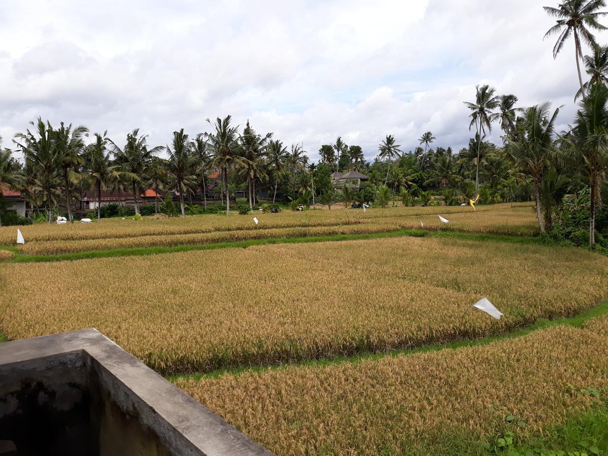 Umah Dangin Guest House Ubud  Exterior photo