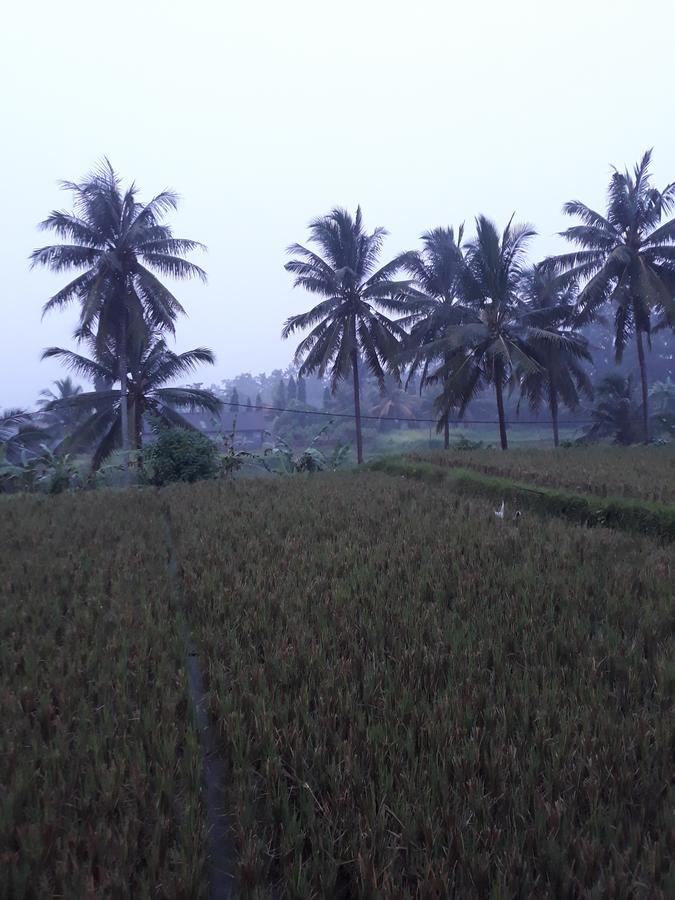 Umah Dangin Guest House Ubud  Exterior photo